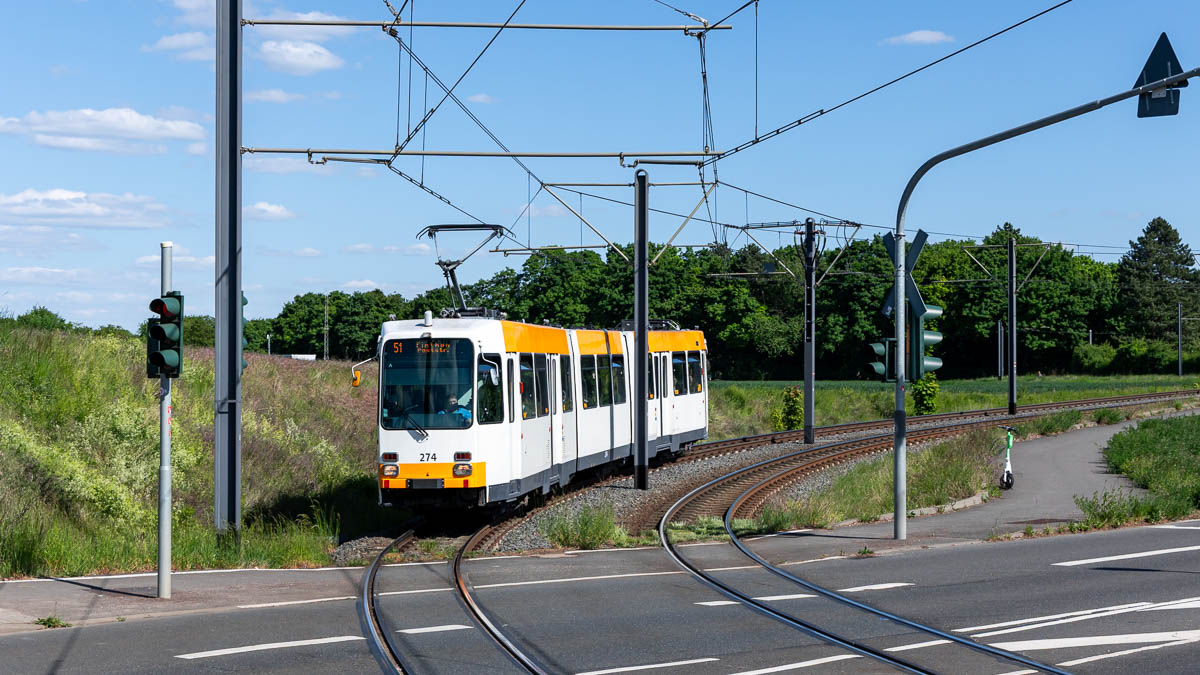 MVG 274 (Typ M8C) Hochschule, Mainz