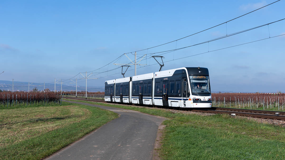 RNV 1869 (Typ 37T) Friedelsheim