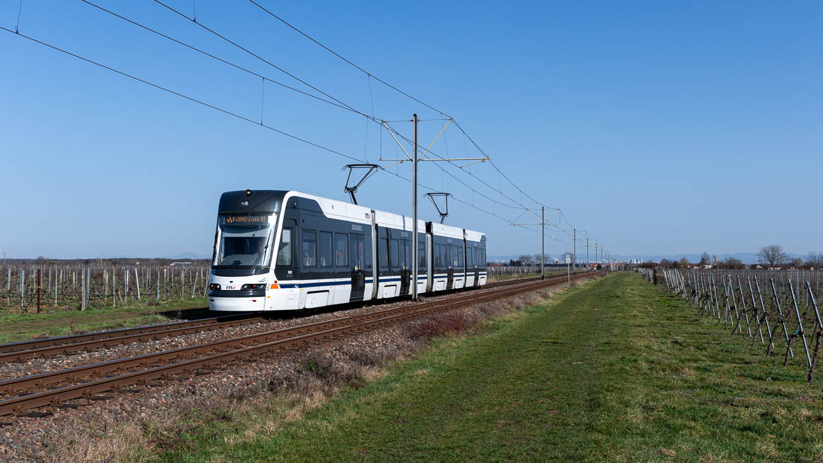 RNV 1808 (Typ 37T) Gönnheim