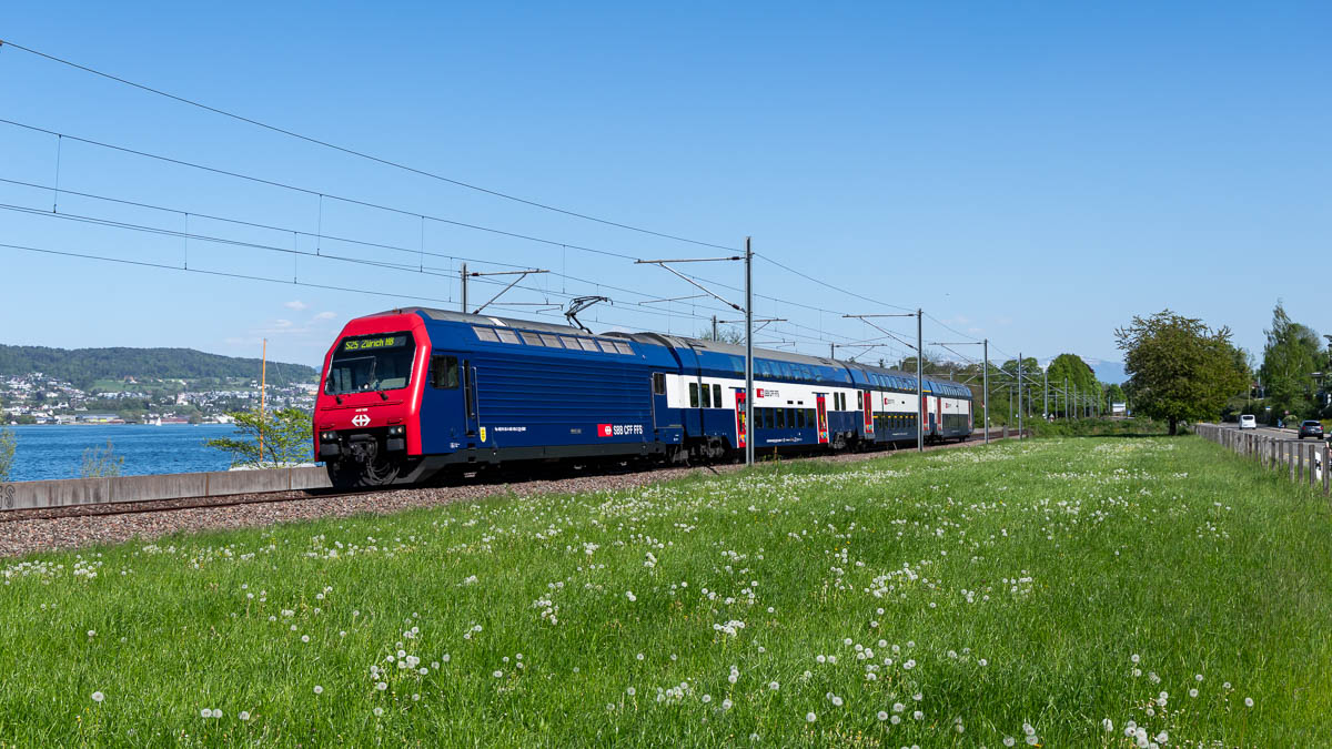 SBB 450 105 Rietli, Horgen
